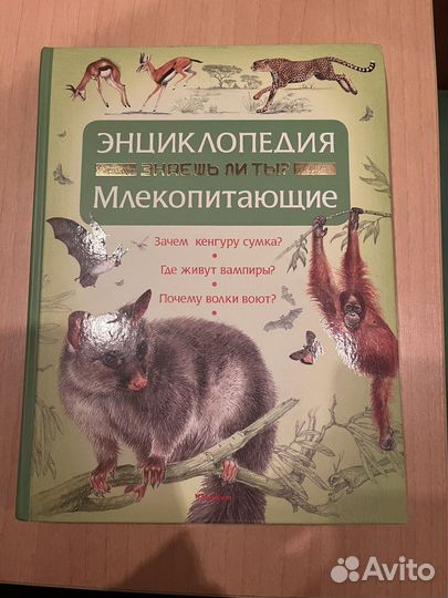 Книги и журналы