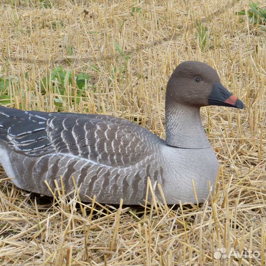 Чучела гусей для охоты