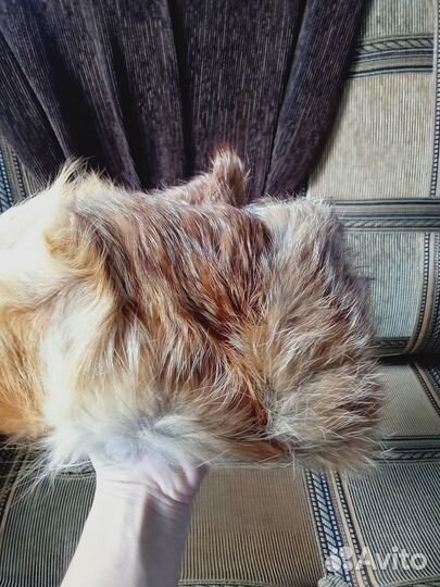 Шапка мужская натуральная