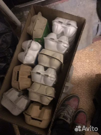 Коробки для яиц