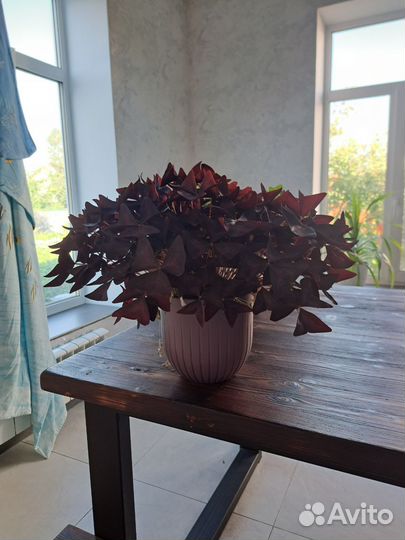 Баттерфляй