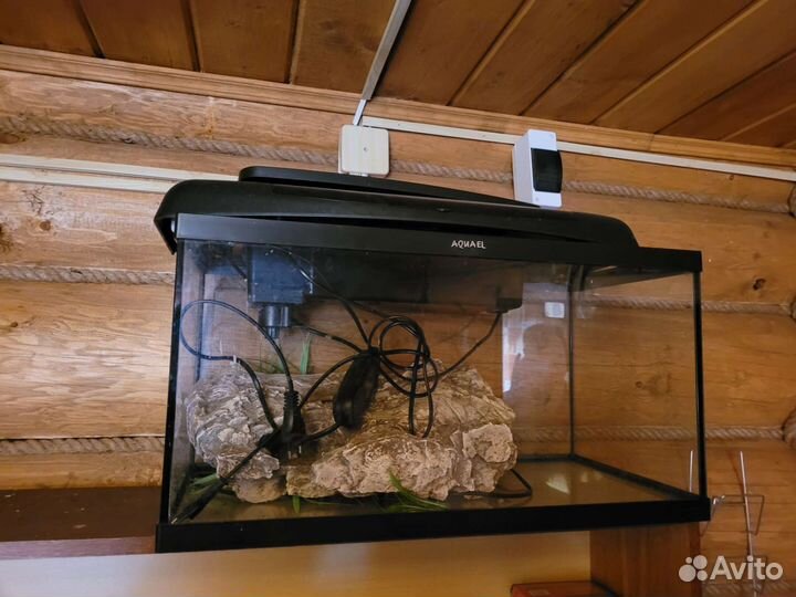 Аквариум