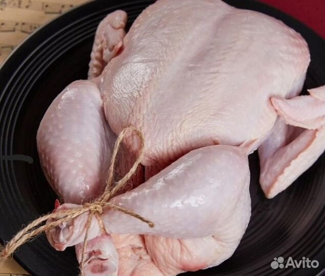 Продам мясо бройлера