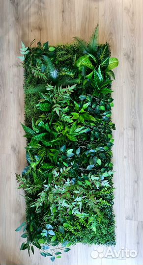 Фитокартина, фитостена