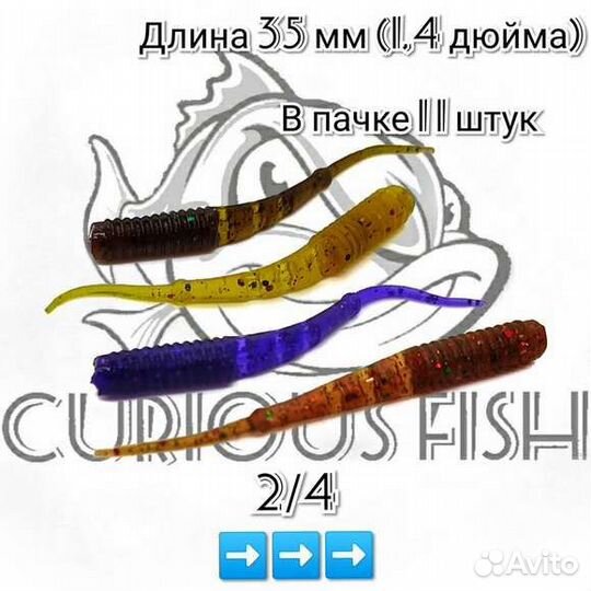 Curious Fish Tadpole 1,4 дюйма (35мм)