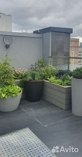 Искусственное озеленение входных групп и веранд