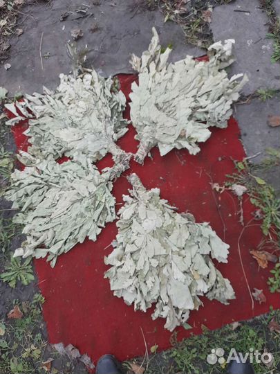 Веники дубовые д. Бани