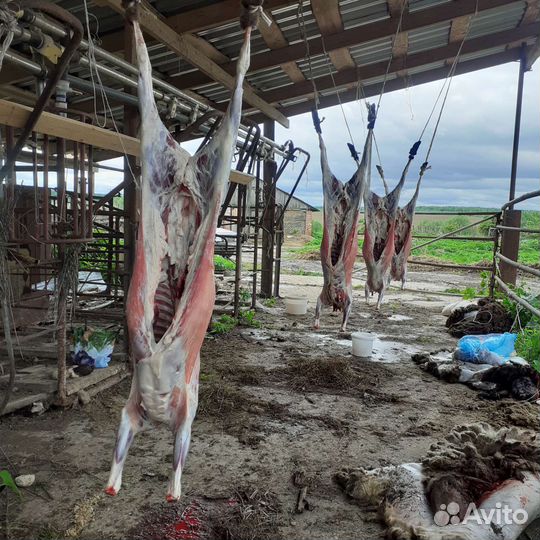 Фермерское мясо / продукты