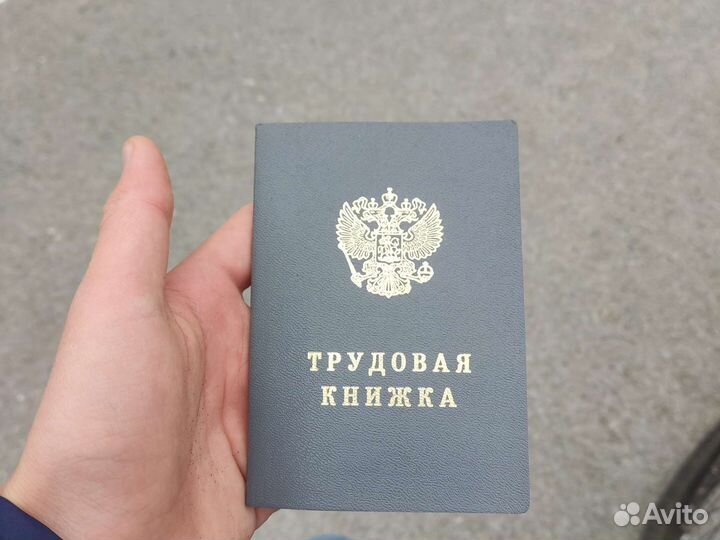 Трудовая книжка ТК-1 2004 год (пустая)