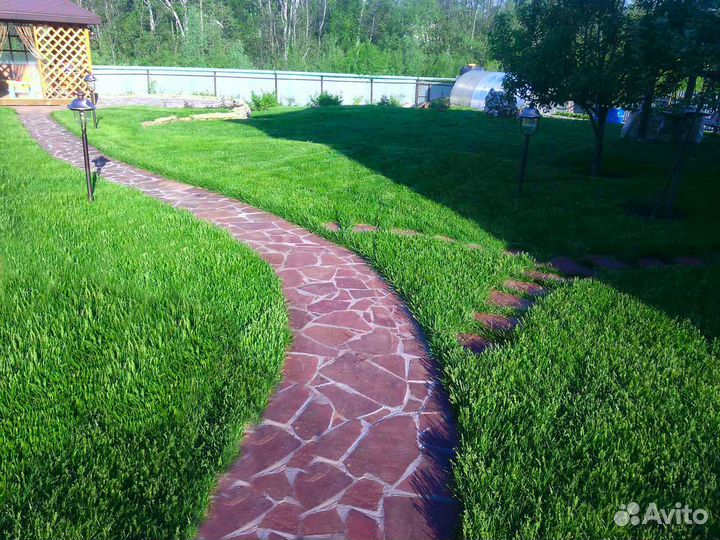 Рулонный газон под ключ