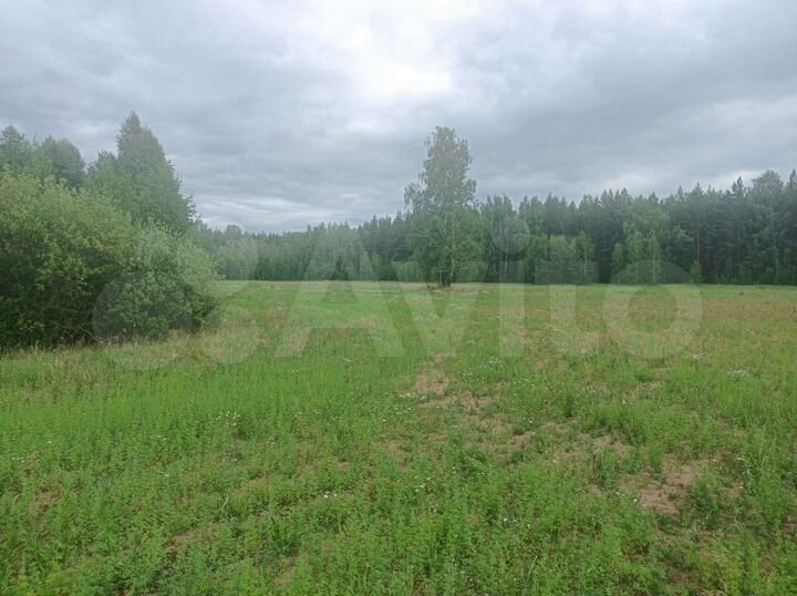 Участок 3,9 га (СНТ, ДНП)