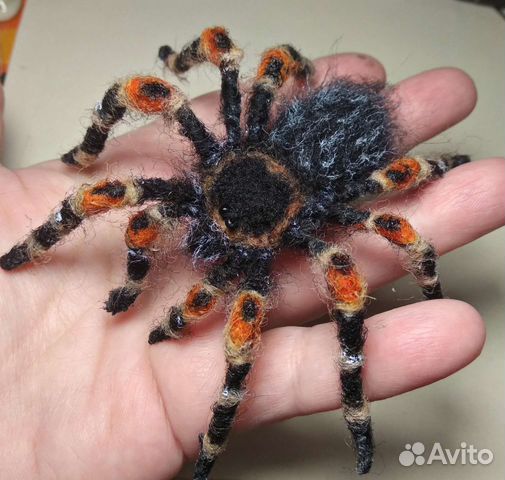 Паук Птицеед. Брошь из шерсти