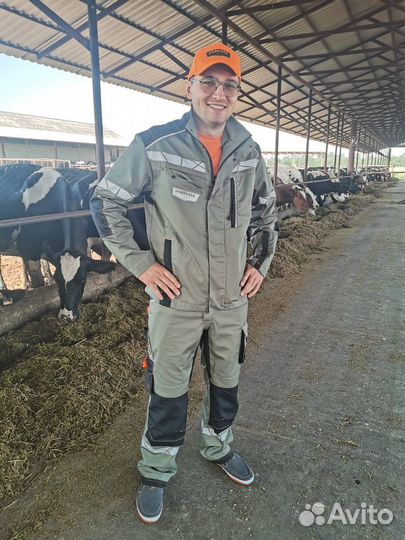 Узи диагностика крс, осеменение коров