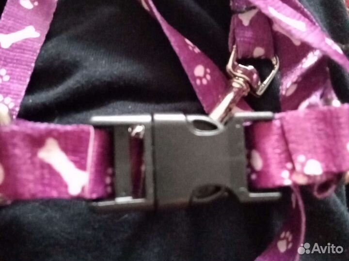 Шлейка поводок