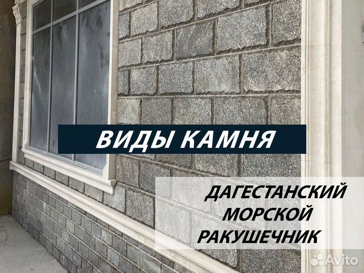 Дагестанский камень / Ракушечник / Доломит