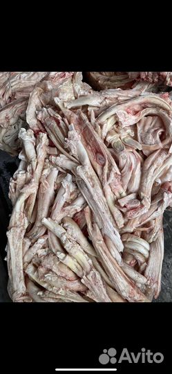 Ахиллова сухожилия корм для собак(животных)