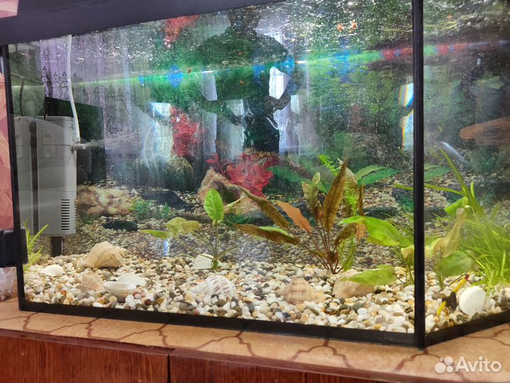 Продам аквариум