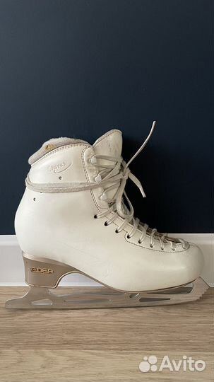 Фигурные коньки edea chorus 255