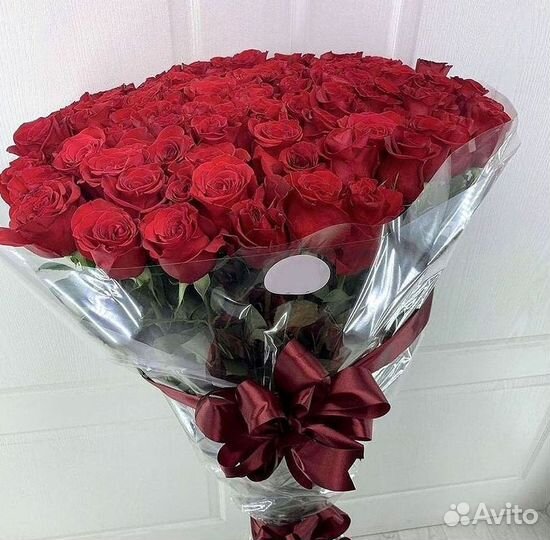 Высокие розы Гигантские розы 110