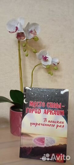 Место силы - город Аркаим. Путенихин