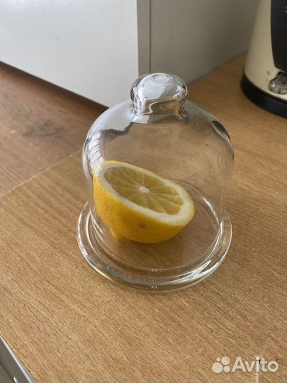 Лимонница стеклянная с крышкой