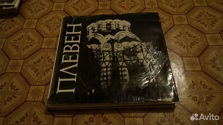 371 Виргиния Топалска. Плевен