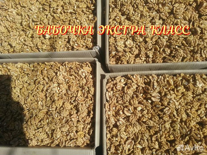 Продаём грецкий орех чищенный круглый год