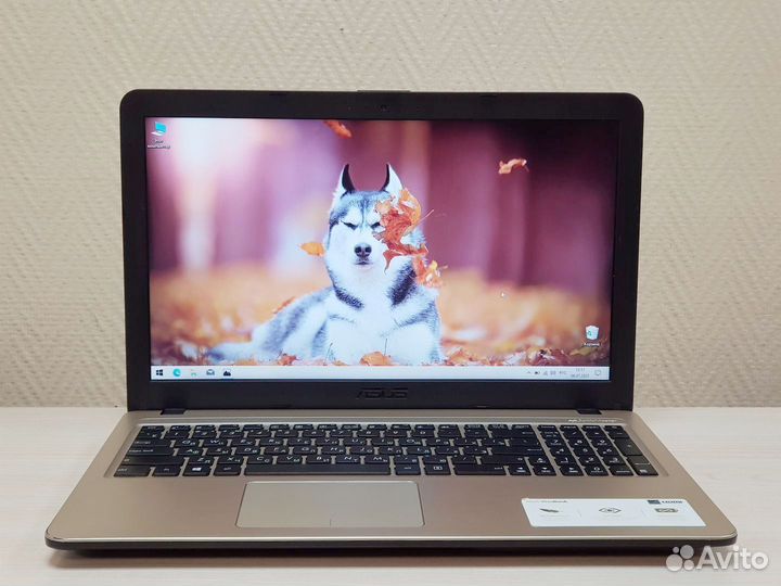 Ноутбук Asus на Pentium N5000 с Видеокартой 2Gb