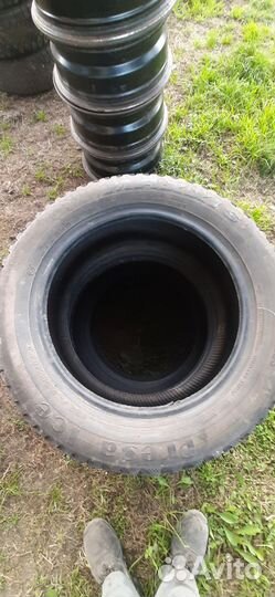 Hankook Winter I'Pike RS2 W429 175/65 R14