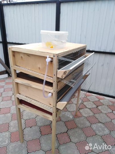 Клетка для перепелов