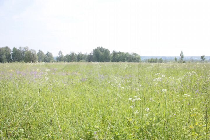 Участок 2,7 га (СНТ, ДНП)