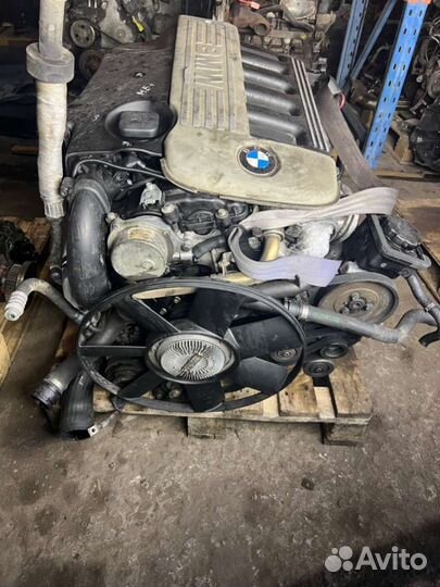 Двигатель BMW 5 E39 (1995 - 2004) 2.5 7783127a