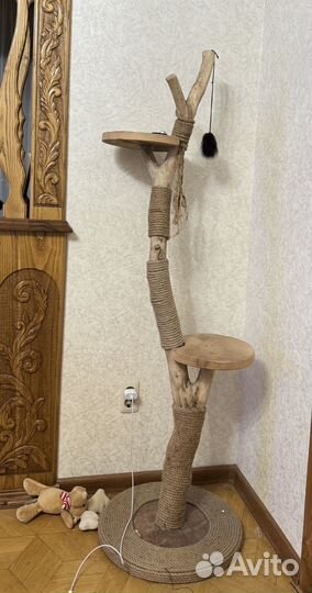 Когтеточка