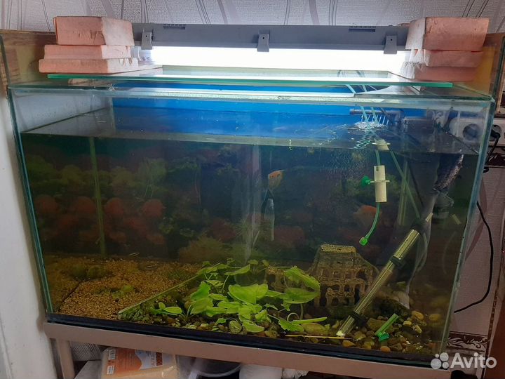 Аквариум