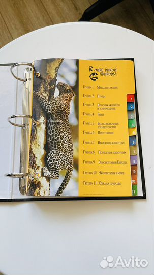 Энциклопедия животного мира