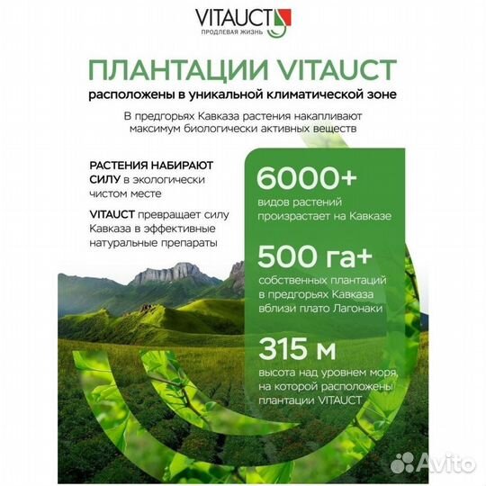 Уролит для почек и мочевого пузыря 350 мл