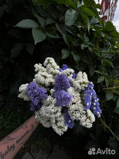 Букет из сухоцветов статицы