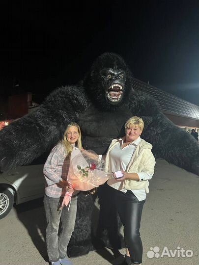 Белый мишка, кинг конг поздравление