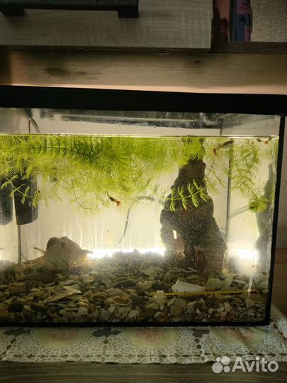 Украшение для аквариума