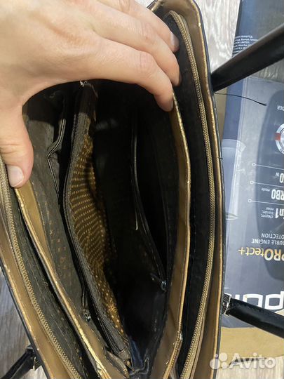 Отдам бесплатно