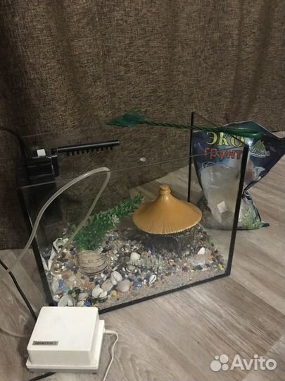Аквариум