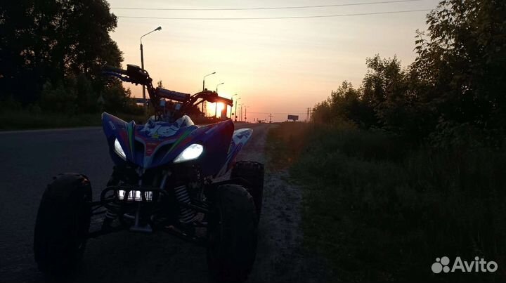 Abm scorpion 250b 177 nc