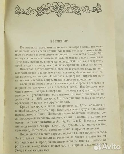 Виноградарство Краснодарского края,Серпуховитина