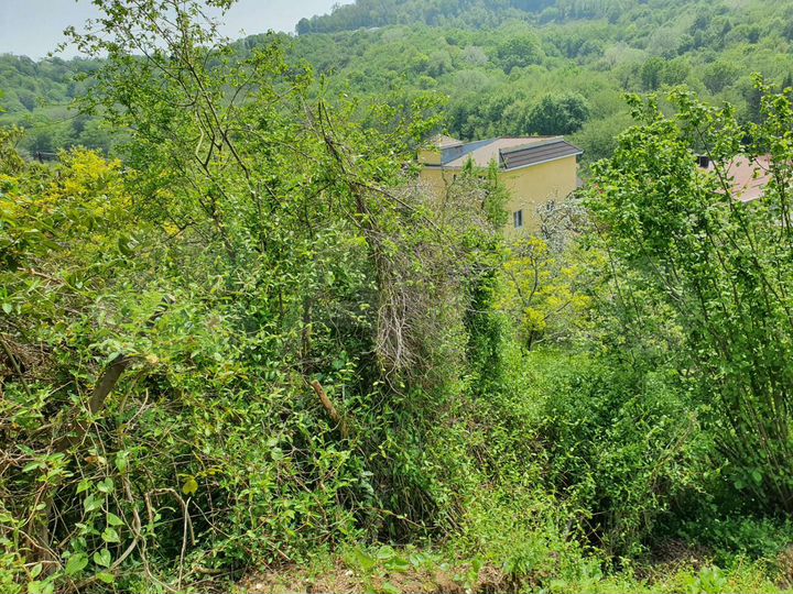 Участок 4,6 сот. (ИЖС)