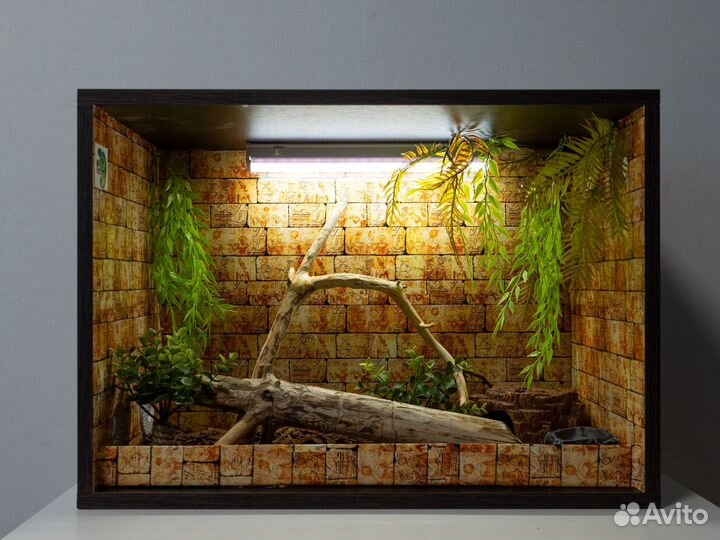 Террариум для эублефара/агамы новый