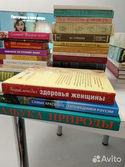 Книги по русскому. Классика для чтения