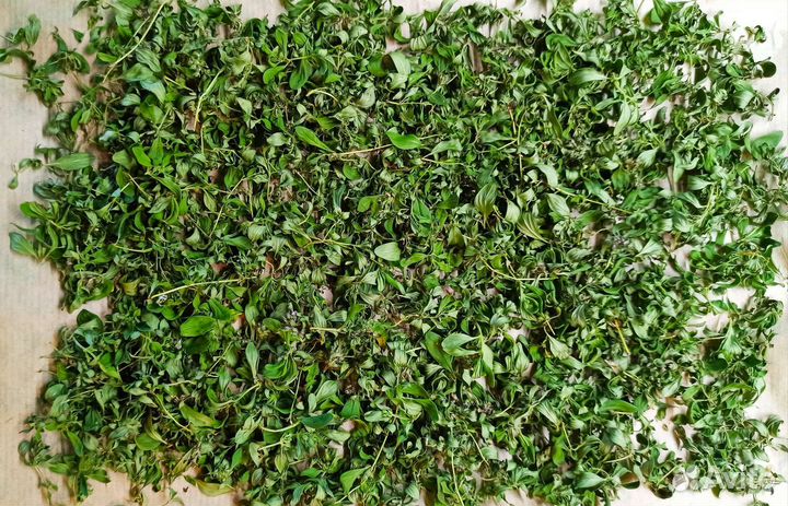 Сухие пряные, чайные, лекарственные травы