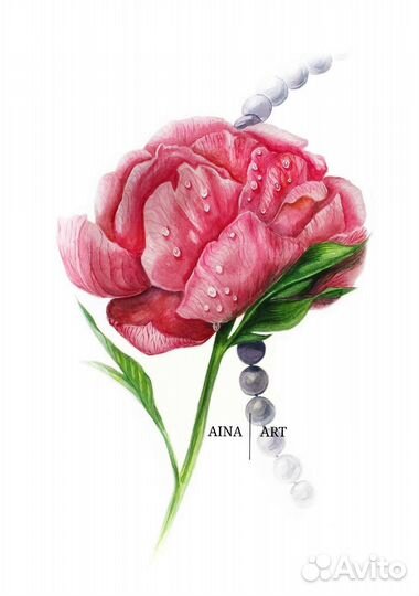 Акварельные живопись пион, роза, георгин, петуния