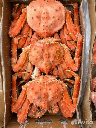 Краб камчатский подарочный
