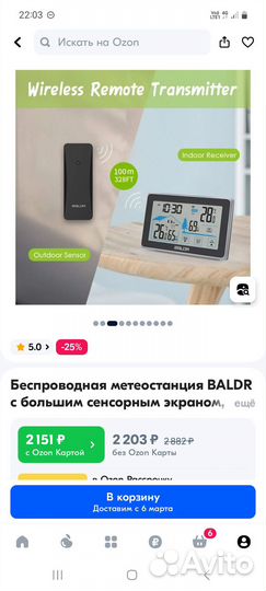 Метеостанция Baldr